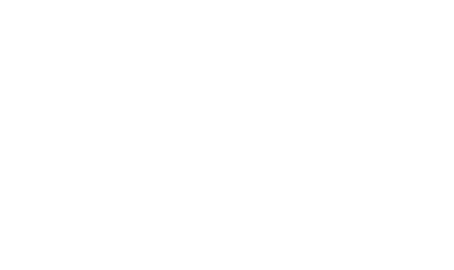 TDC SERVICES